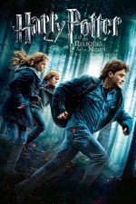 image-thumbnail/php_58435ee310bf2-HarryPotterandtheDeathlyHallows_Part1.jpg