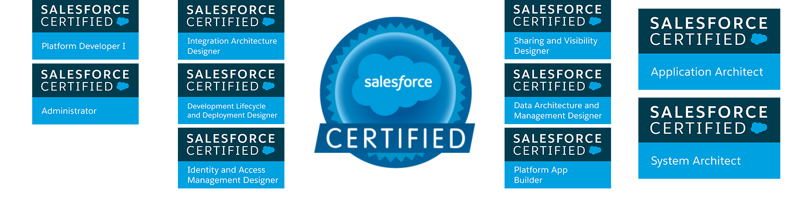 Salesforce Certified Banner